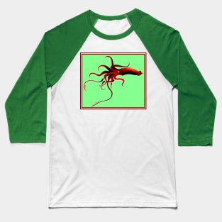 Giant Squid : Deep Water Sea Creature Print Baseball T-Shirt